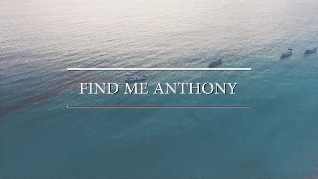 Małgorzata Hutek - Find Me Anthony